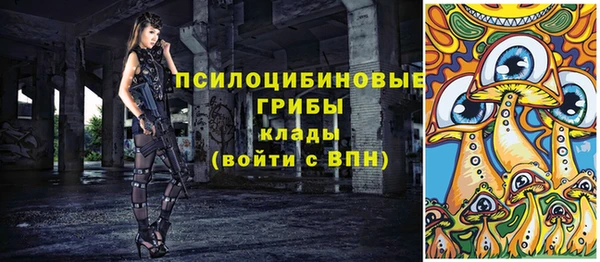ГАЛЛЮЦИНОГЕННЫЕ ГРИБЫ Медногорск