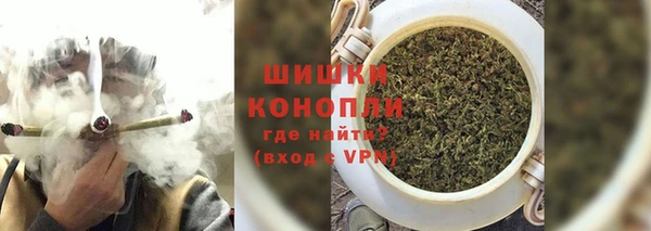 гидра Медвежьегорск