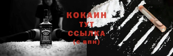 гидра Медвежьегорск