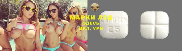 ГАЛЛЮЦИНОГЕННЫЕ ГРИБЫ Медногорск