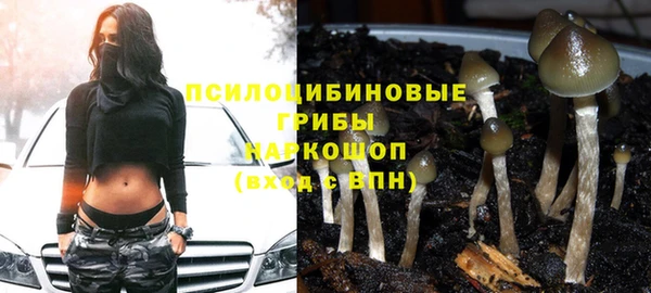 гидра Медвежьегорск