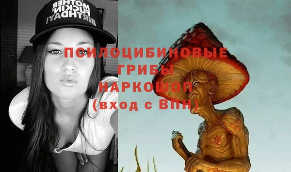 гидра Медвежьегорск
