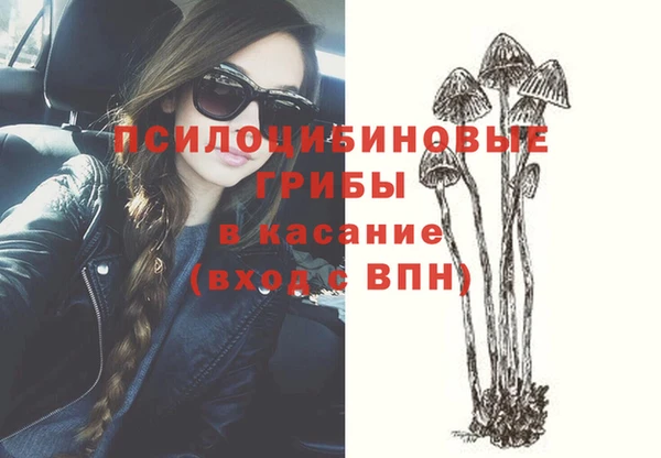 кристаллы Мегион