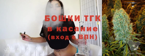 гидра Медвежьегорск