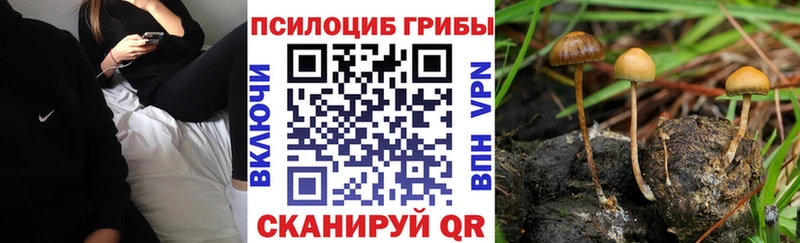 omg ссылка  Харабали  Псилоцибиновые грибы Cubensis 